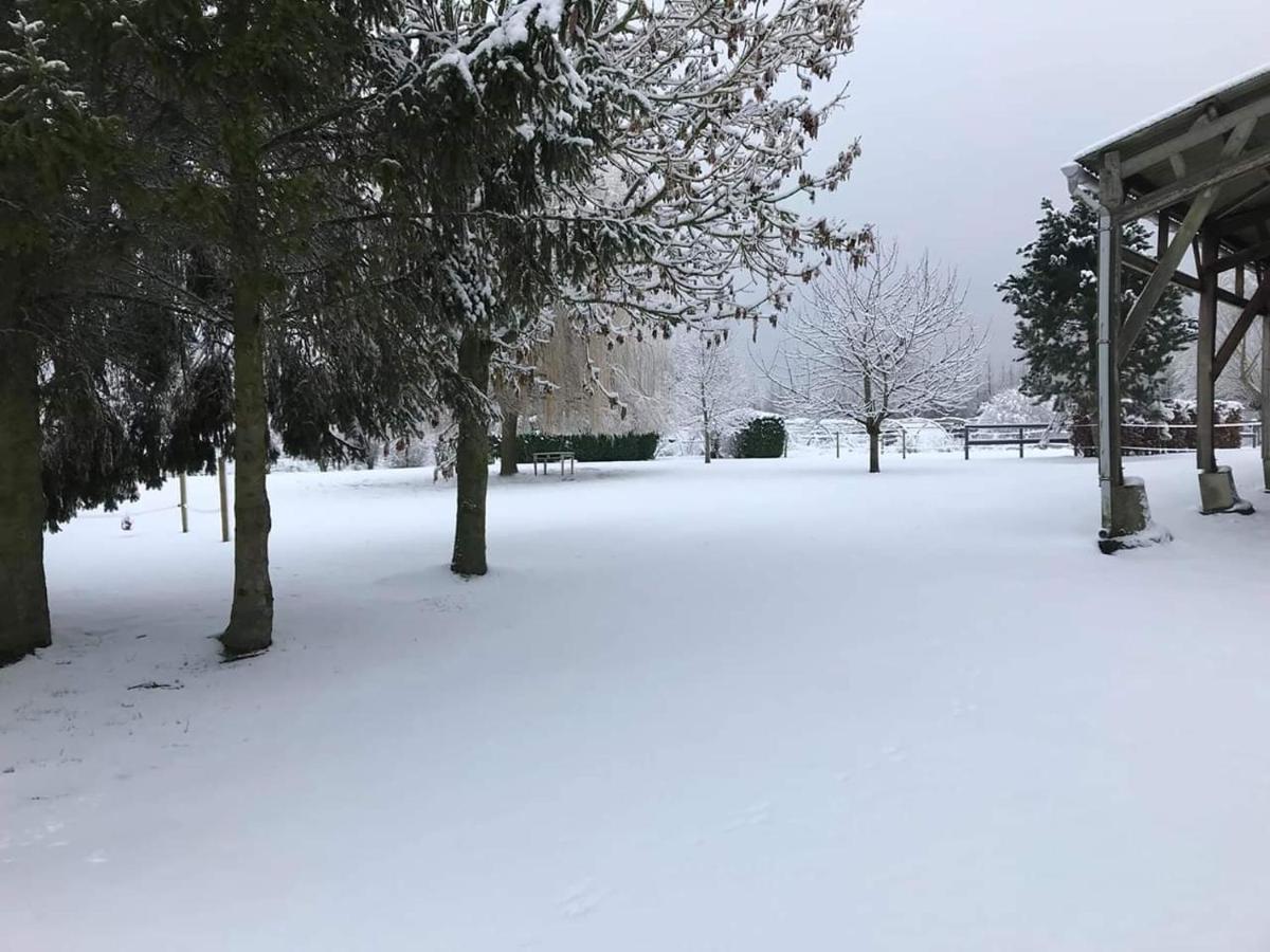 Ferme De La Forterie Verlinghem エクステリア 写真
