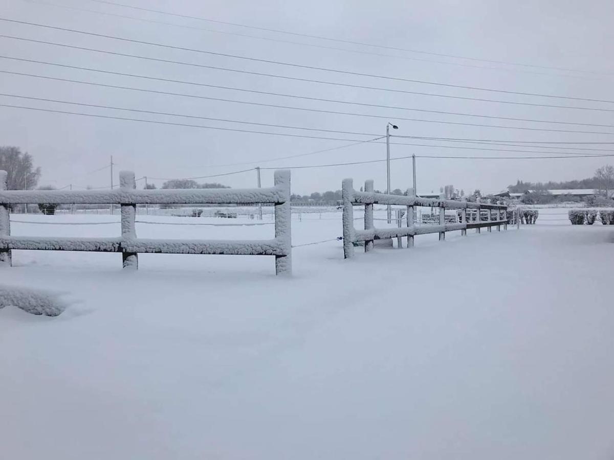 Ferme De La Forterie Verlinghem エクステリア 写真